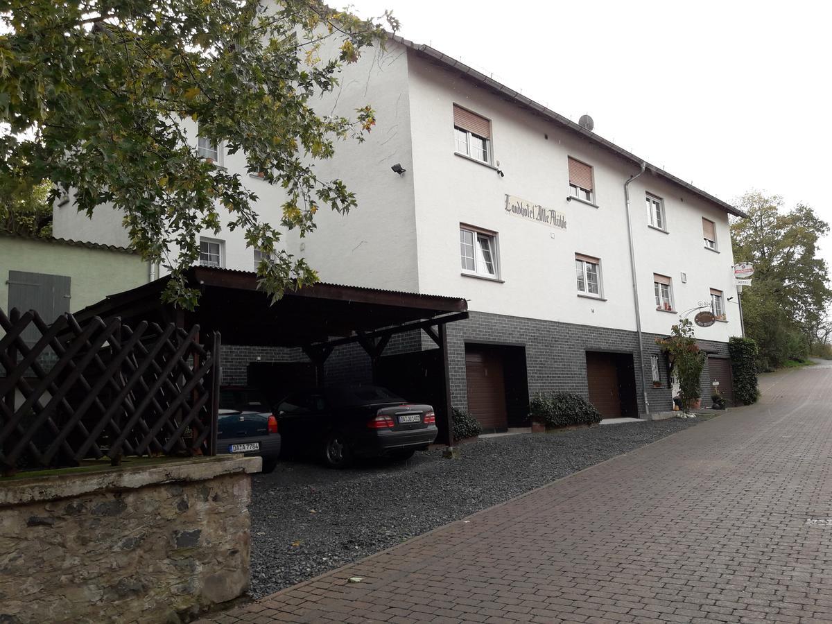 Landhotel Alte Muehle Modautal 외부 사진
